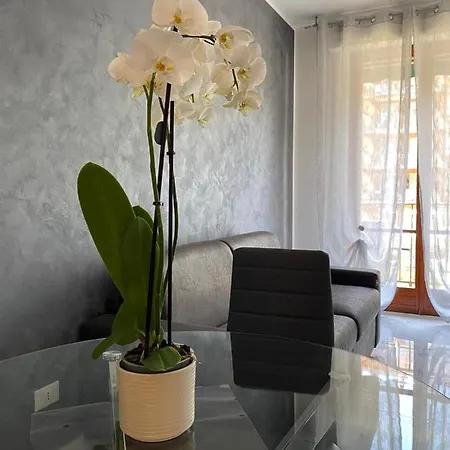 Daire Casa Grigio Perla Vallecrosia